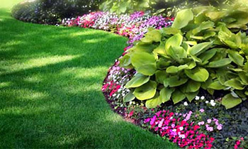 landscape design Lynnwood